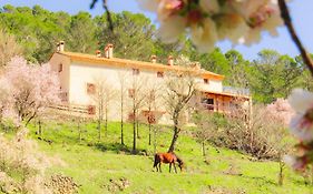 Casa Rural Mirabueno